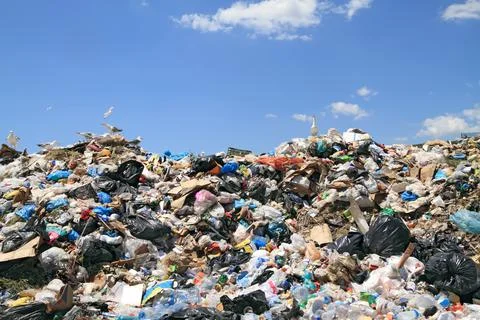 Garbage in landfill Foto stock