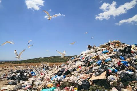 Garbage in landfill Stock Photos