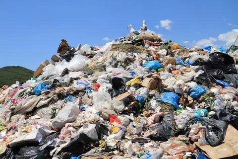 Garbage in landfill Stock Photos