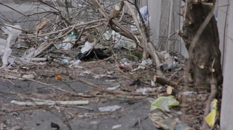 Garbage laying in the street Stock Footage 39501428