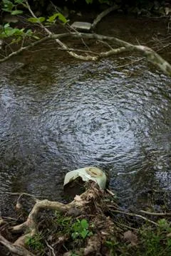 Garbage left behind in a creek. Stock Photos