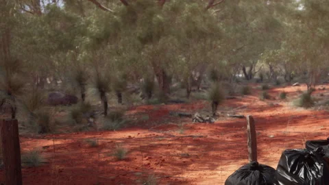 Garbage left on a forest trail in a natural area with red soil Stock Footage 344162606