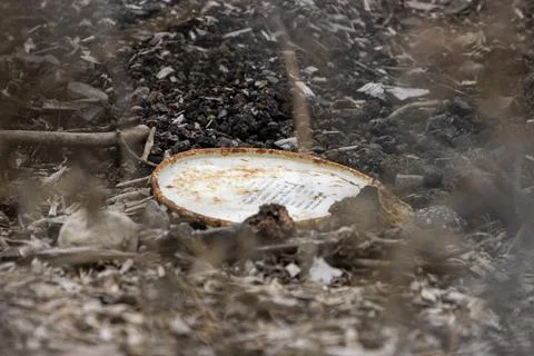 Garbage left on the ground Stock Photos