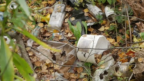 Garbage left by man in nature. Human Impact on the Environment Stock Footage 116874863