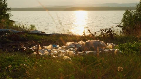 Garbage left by people on the shore of the lake after a rest. Stock Footage 283081953