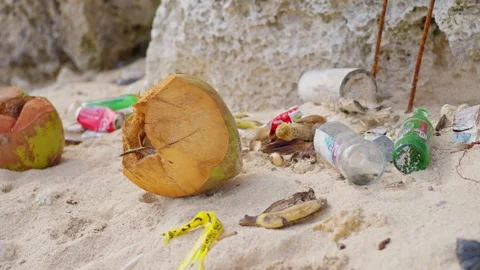 Garbage Left by Tourists on the Beach, Plastic bottles and aluminum waste Stock Footage 243607196