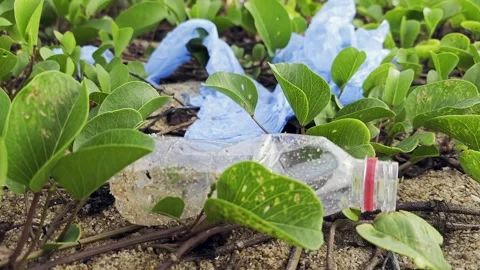 Garbage littered on green meadows Stock Footage 265570731