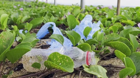 Garbage littered on green meadows Stock Footage 265570963