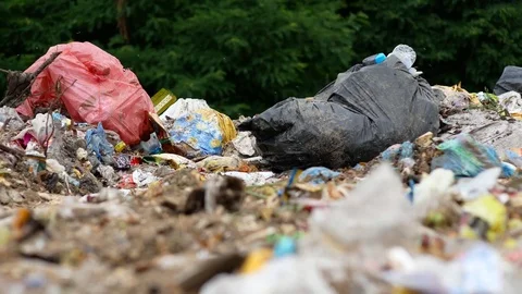 Garbage with a lot of flies on a dump Stock Footage 78452664