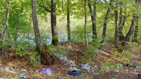 Garbage is lying in forest. Environmental pollution Video stock 189334582