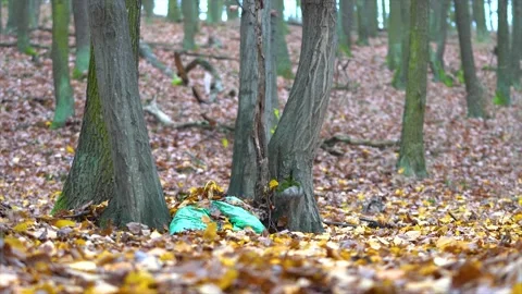 Garbage in nature Stock Footage 145203141