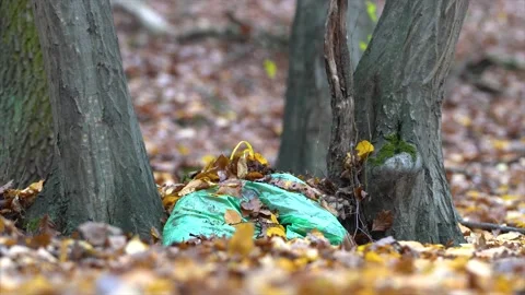 Garbage in nature. Garbage in the forest Stock Footage 145203001