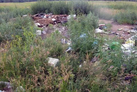 Garbage in the nature Stock Photos