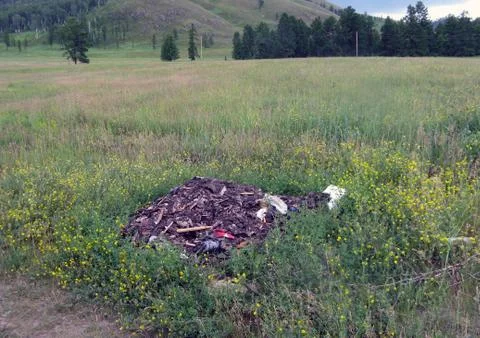 Garbage in the nature Stock Photos