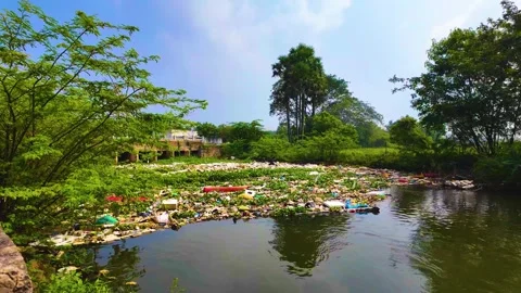 Garbage Obstructing the Flowing River Water - Rightwards Video stock 262211724