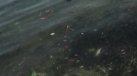 Garbage in the ocean Stock Footage 37995991