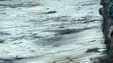 Garbage in ocean waves, dirty Atlantic coast. Stock Footage 160143927