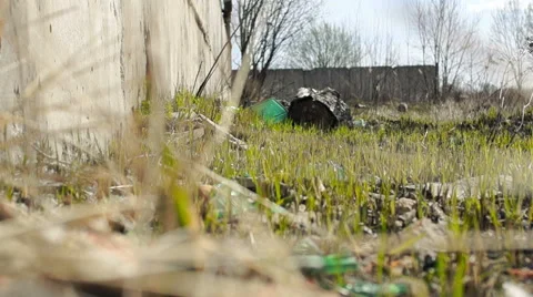Garbage, old building, the plant on the ground 库存影片 57322970
