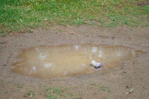 Garbage from one white plastic bottle lies in the dirty brown water Stock Photos
