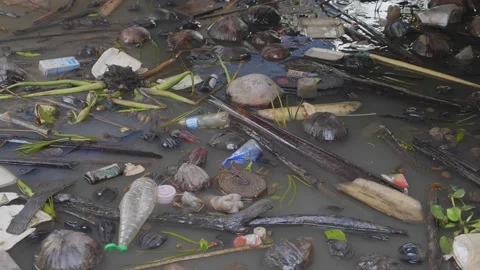 Garbage over water shows the pollution. Video stock 156177195