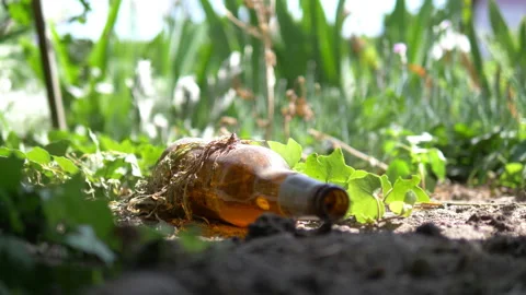 Garbage in the park 스톡 동영상 92863709