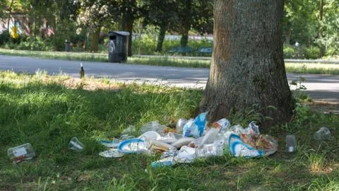 Garbage in the park Foto stock