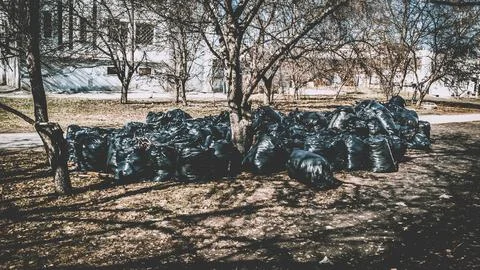 Garbage Stock Photos