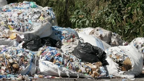 Garbage pile dump near the peatlands forest, close up Stock Footage 157804630
