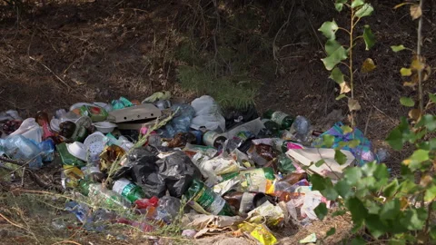 Garbage Pile in Forest - Environmental Pollution Stock Footage 284246772