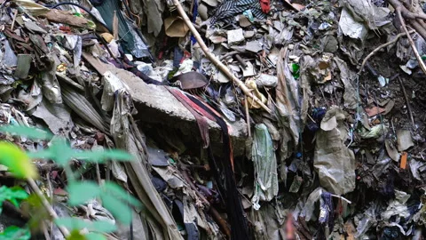 Garbage pile in a polluted forest Stock Footage 146804046
