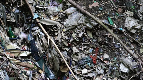 Garbage pile in a polluted forest Stock Footage 146804286