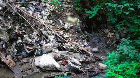 Garbage pile in a polluted forest Stock Footage 146804586