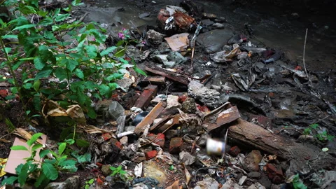 Garbage pile in a polluted forest Stock Footage 146805083