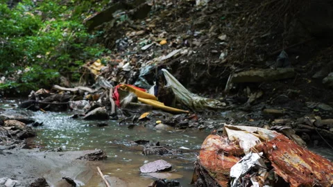 Garbage pile in a polluted forest Stock Footage 146805270