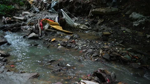 Garbage pile in a polluted forest Stock Footage 146805480