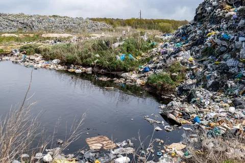 Garbage is piled up around a small pond with some plants nearby in a landfi.. 스톡 사진