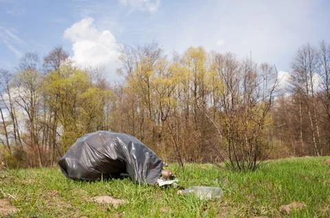 Garbage in plastic bag dump in woods Foto stock