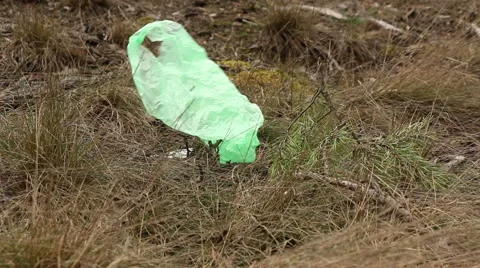 Garbage, plastic bag in the forest pollution concept footage Stock Footage 48862514