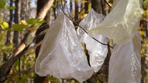 Garbage, plastic bags and bottles lie on the grass, pollution of nature Stock Footage 141464735