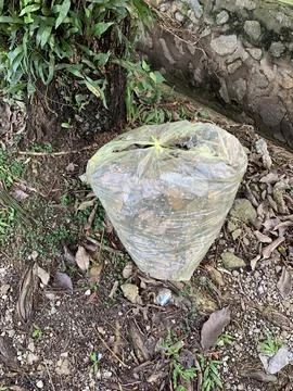 Garbage plastic bags under the tree Stock Photos