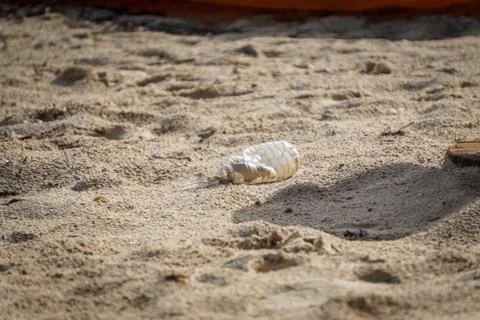 Garbage plastic bottle in the sand Stock Photos