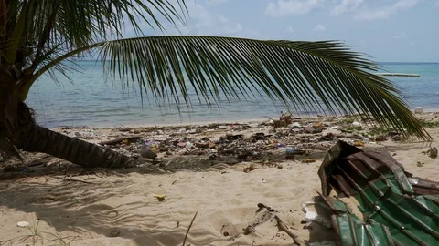 Garbage, plastic bottles and rubbish dumped at the beach. Stock Footage 107440923