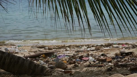 Garbage, plastic bottles and rubbish dumped at the beach. Stock Footage 107440965