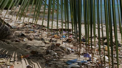 Garbage, plastic bottles and rubbish dumped at the beach. Stock Footage 107441223