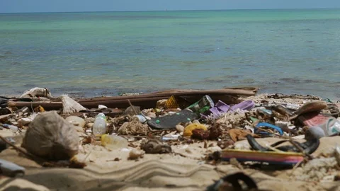 Garbage, plastic bottles and rubbish dumped at the beach. Stock Footage 107441526