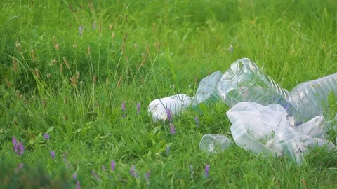 Garbage from plastic empty bottles in nature among the grass. Pollution of the Stock Footage 260335365