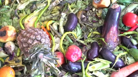 Garbage Plastic For Organic Biodegradable Waste. Stock Footage 145705366