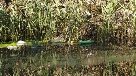 Garbage plastics bottle floating in the river Vídeo Stock 57169706