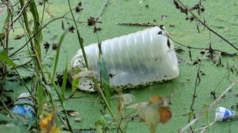 Garbage plastics bottle floating in the river Vídeo Stock 57169996
