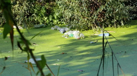 Garbage plastics bottle floating in the river Vídeo Stock 57170653